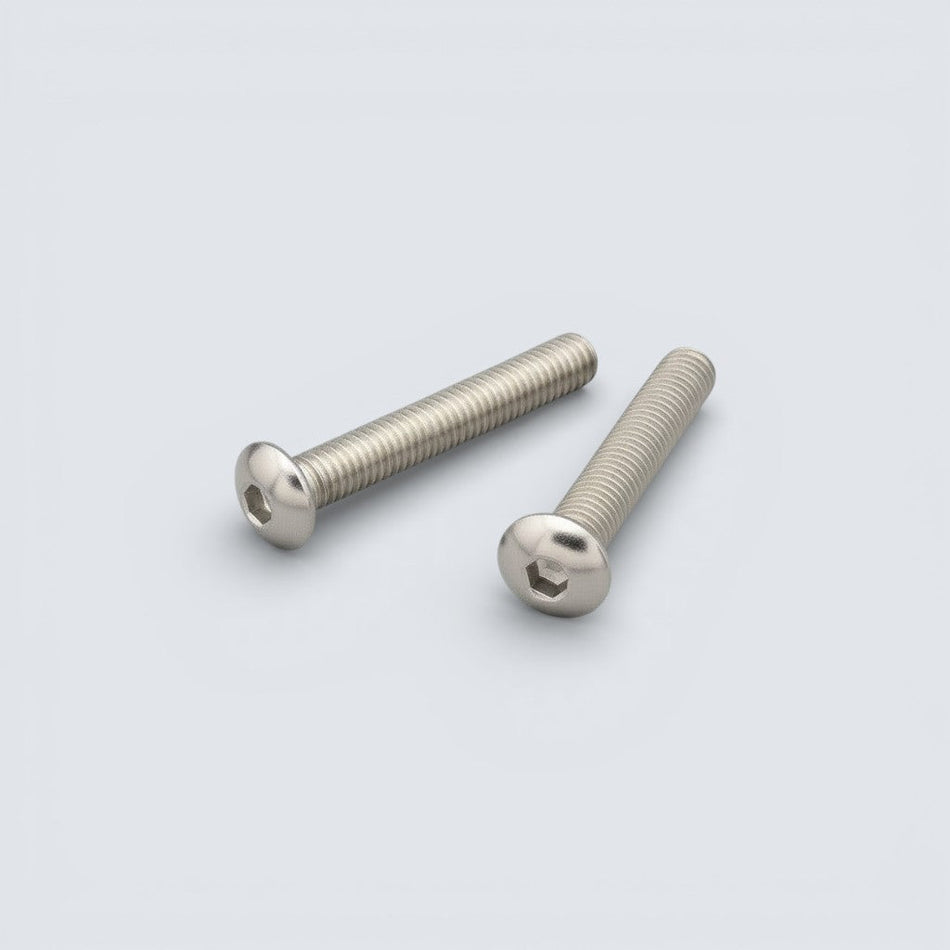 Bild på rostfri skruv med kullrig skalle.